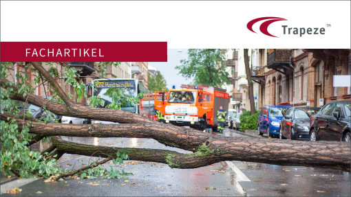 Umgestürzter Baum vor einem öffentlichen Bus
